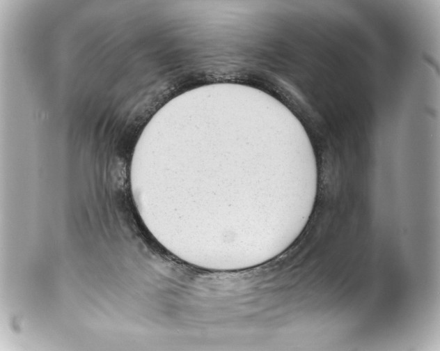 X0000101650025200807311423