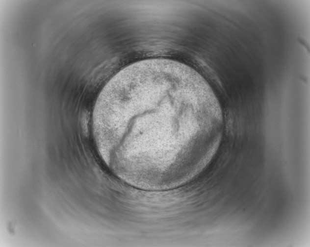 X0000101650026200807311423