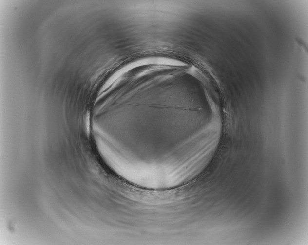 X0000101650027200807311423