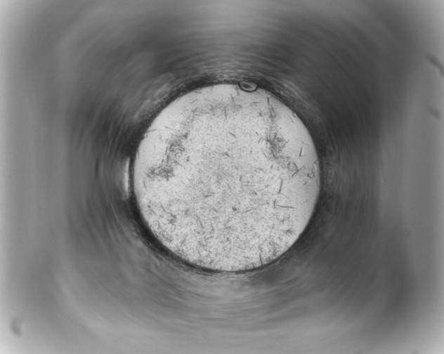 X0000101650028200807311423