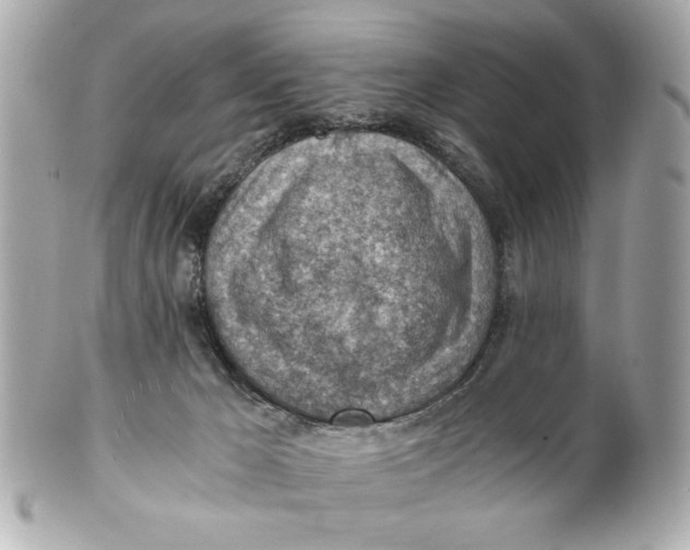 X0000101650029200807311423