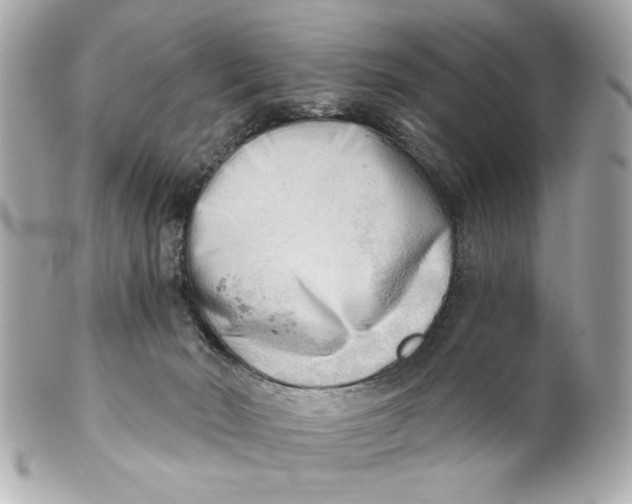 X0000101650030200807311423