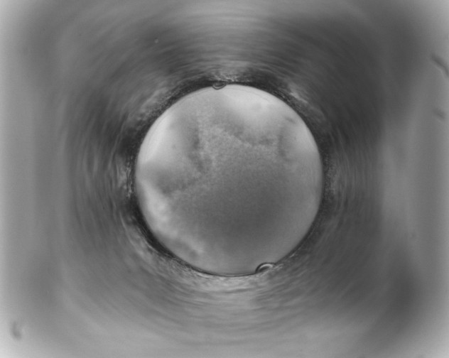 X0000101650031200807311423