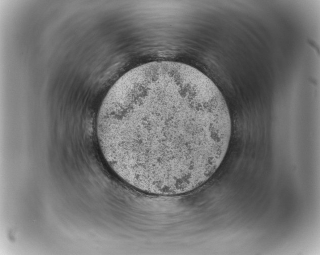 X0000101650032200807311423