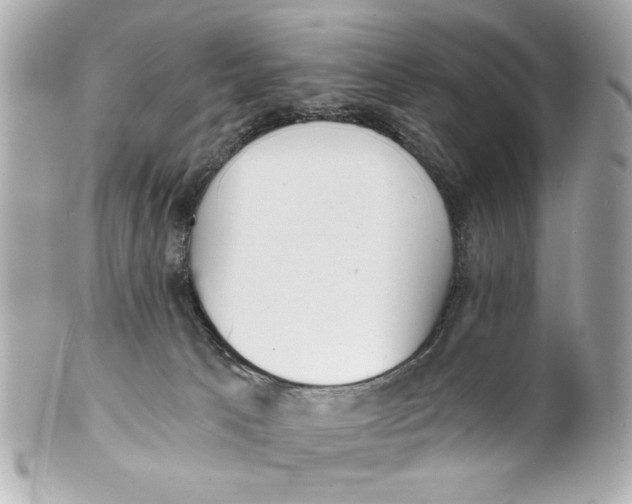 X0000101650033200807311423