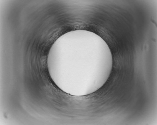 X0000101650034200807311423