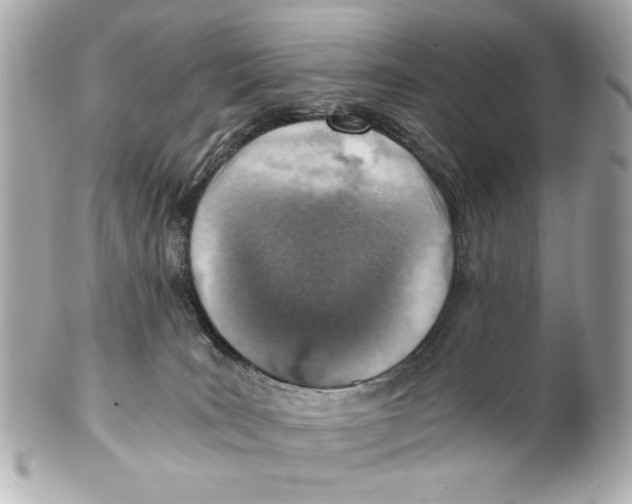 X0000101650035200807311423