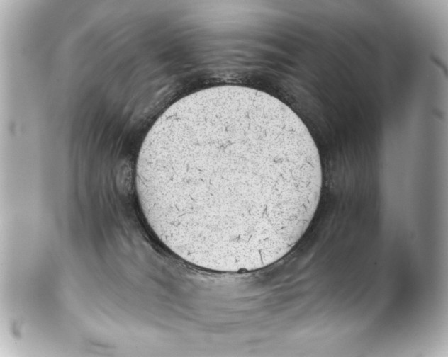 X0000101650036200807311423