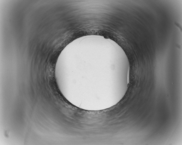 X0000101650037200807311423