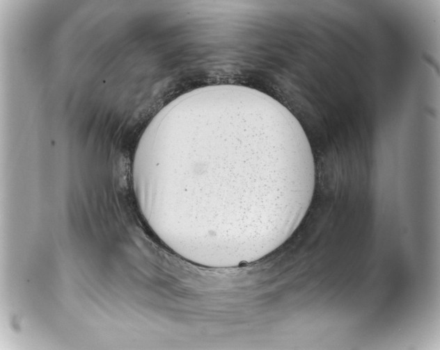 X0000101650038200807311423