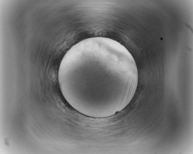 X0000101650039200807311423