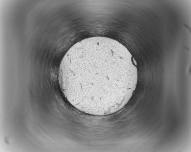 X0000101650040200807311423