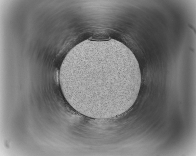X0000101650041200807311423