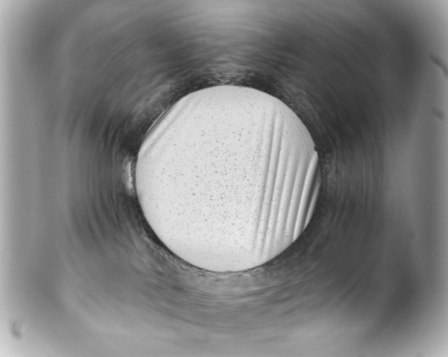 X0000101650042200807311423