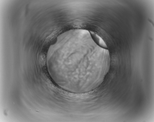 X0000101650043200807311423