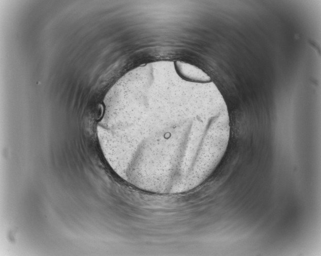 X0000101650044200807311423