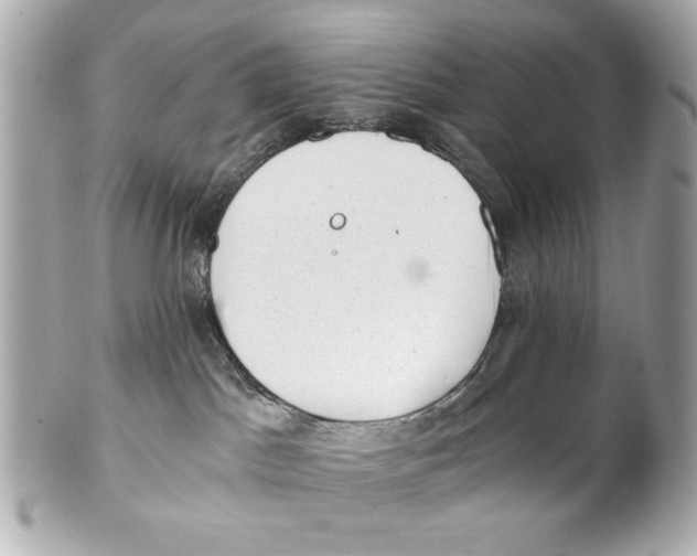 X0000101650045200807311423