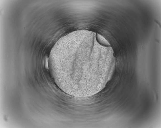 X0000101650046200807311423