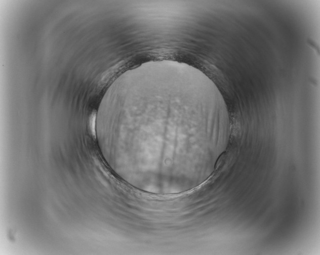 X0000101650047200807311423