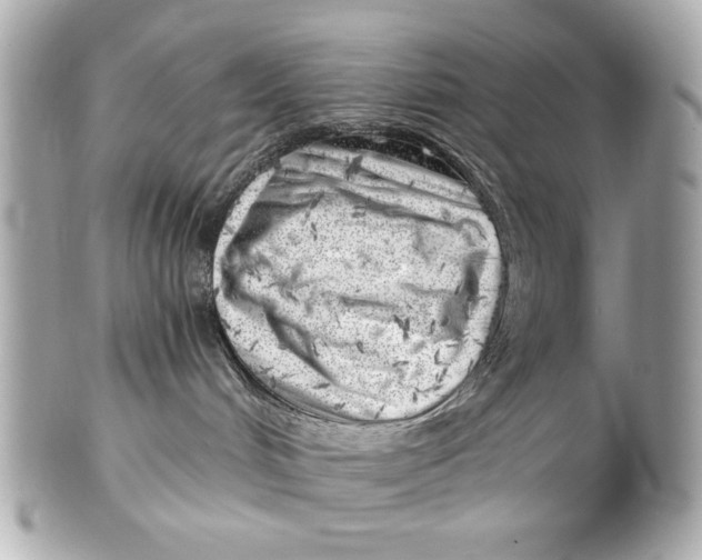 X0000101650048200807311423