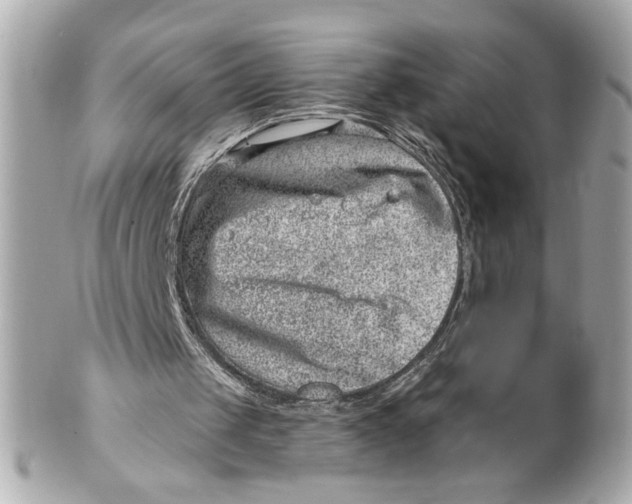 X0000101650049200807311422