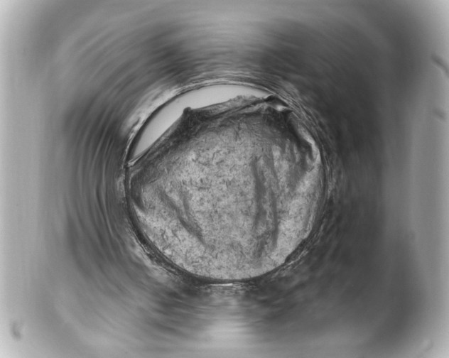 X0000101650050200807311422
