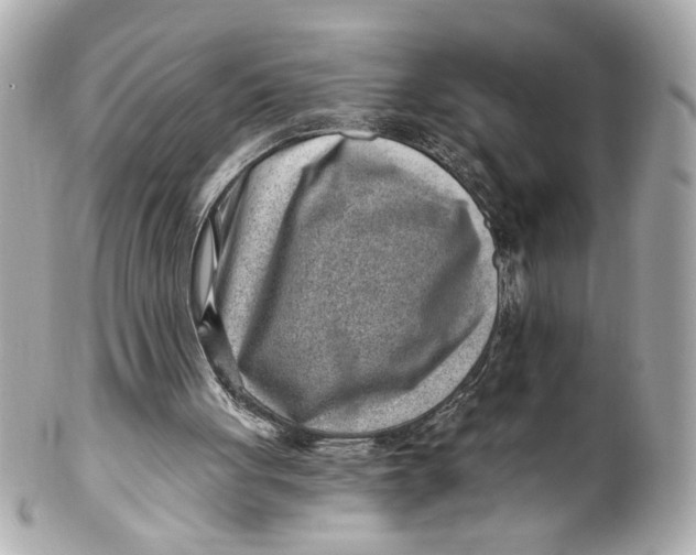 X0000101650051200807311422