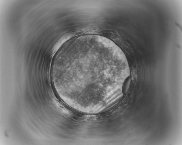 X0000101650052200807311422