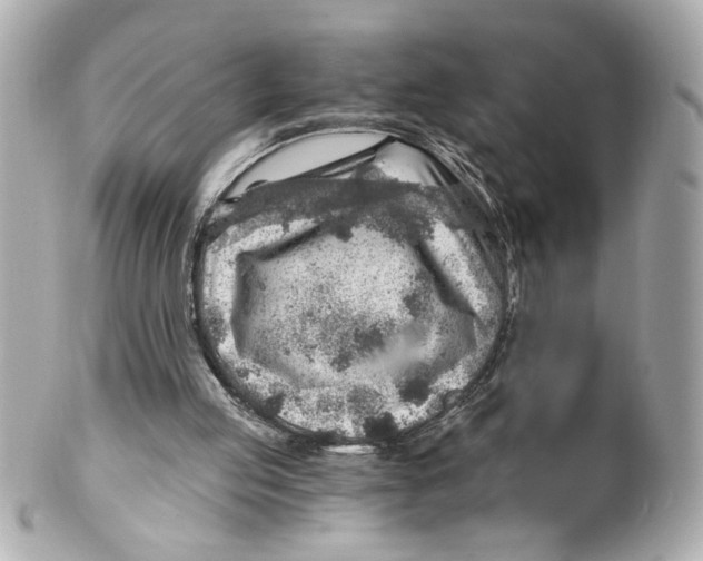 X0000101650053200807311422