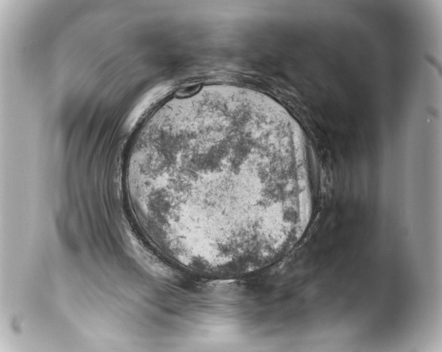 X0000101650054200807311422