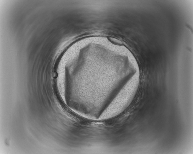X0000101650055200807311422