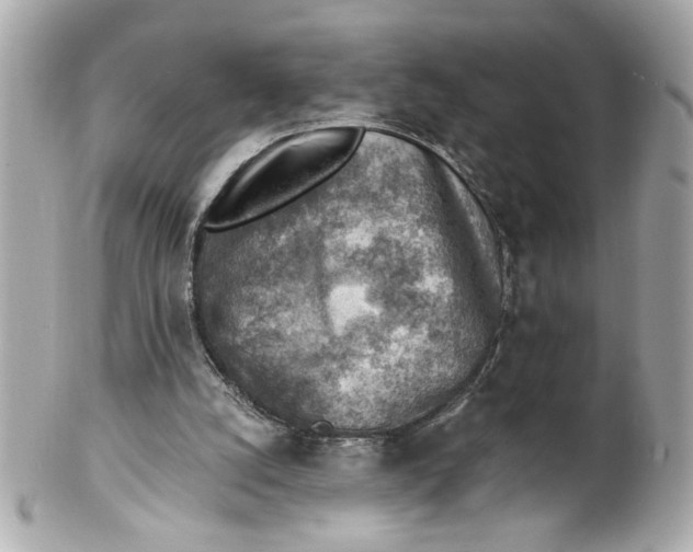 X0000101650056200807311422