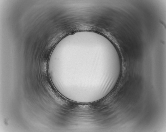 X0000101650057200807311422