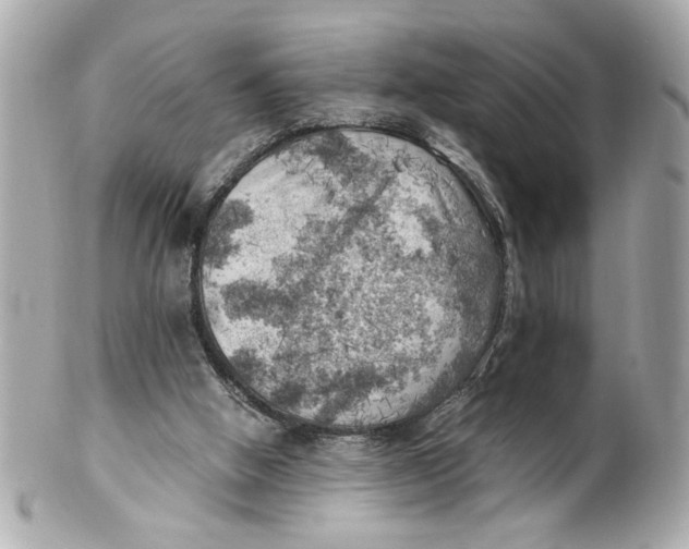 X0000101650058200807311422