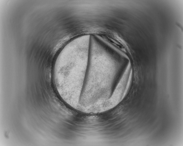 X0000101650059200807311422