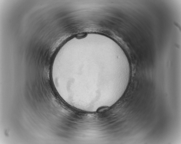 X0000101650060200807311422