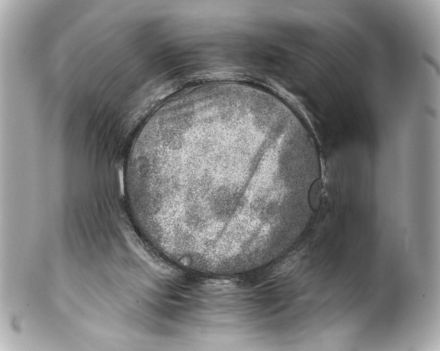 X0000101650061200807311422