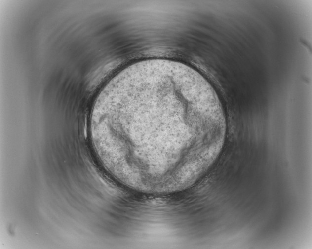 X0000101650062200807311422