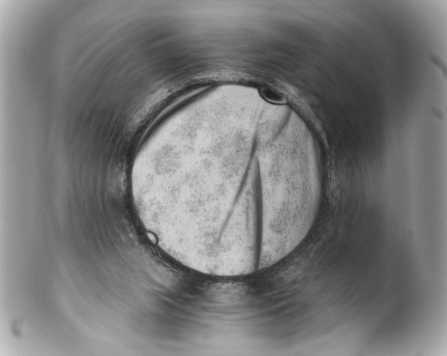 X0000101650063200807311422