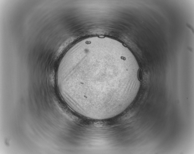 X0000101650064200807311422