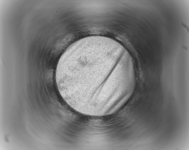 X0000101650066200807311422