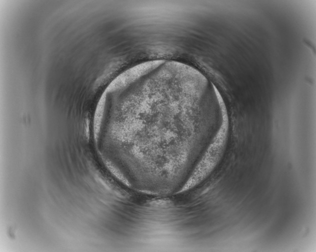 X0000101650067200807311422