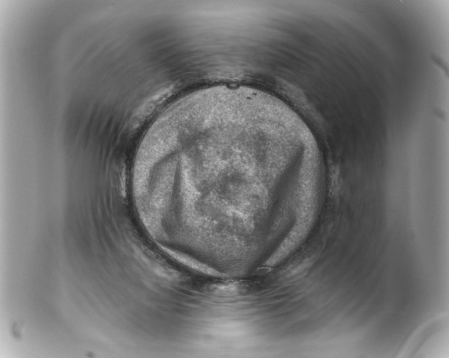 X0000101650068200807311422