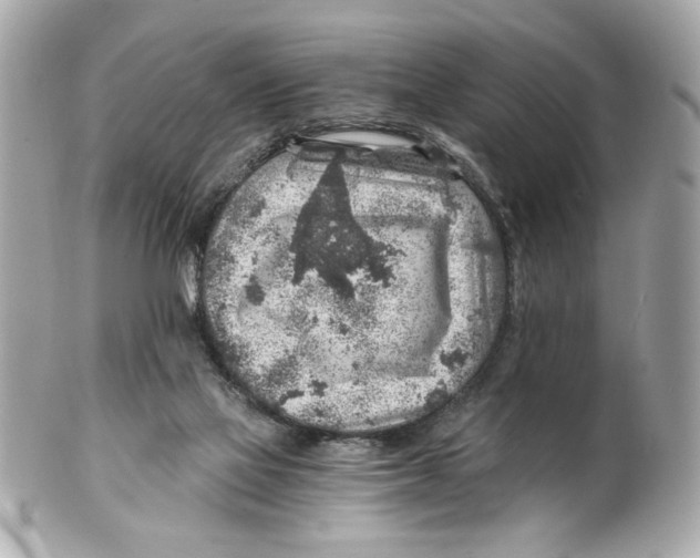 X0000101650069200807311422