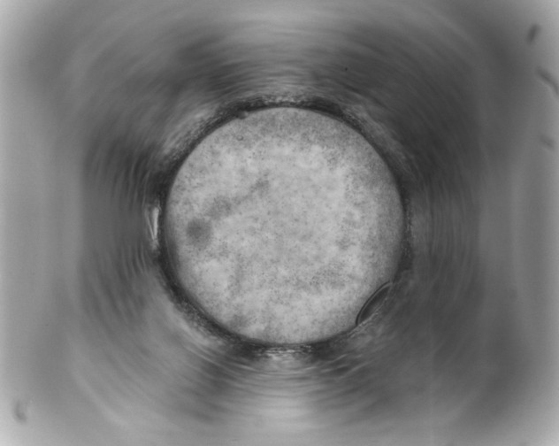 X0000101650070200807311422