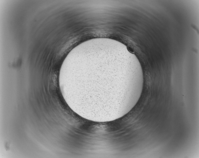 X0000101650071200807311422