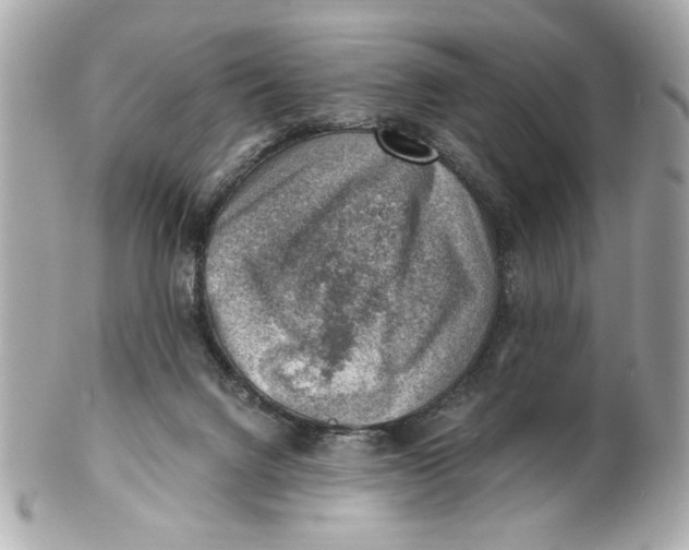 X0000101650072200807311422