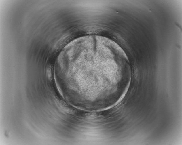 X0000101650074200807311422