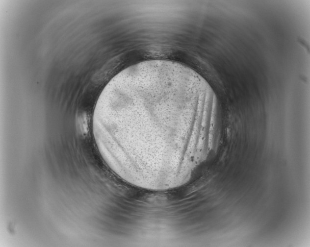 X0000101650075200807311422