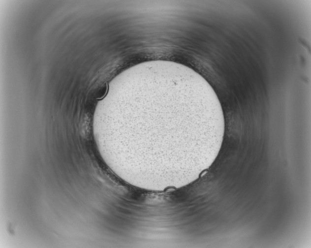 X0000101650077200807311422